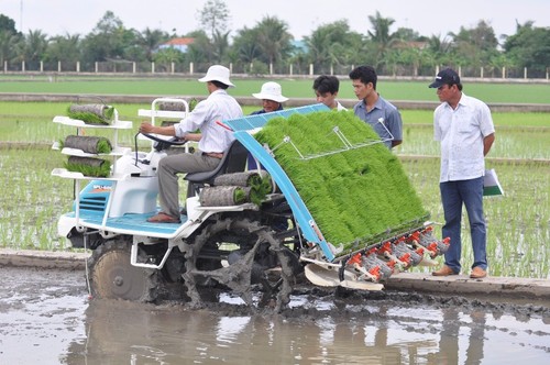 Mecanización agrícola contribuye a mejorar la producción de arroz en la llanura del Río Mekong - ảnh 2