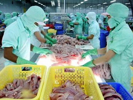Cargas tributarias de Estados Unidos contra los pescados de Vietnam - ảnh 1