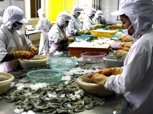 Reconocen lealtad comercial de exportadores de camarón vietnamita - ảnh 1