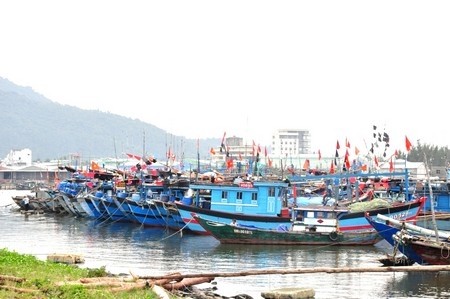 Centro de Vietnam acelera prevención antes de la llegada del nuevo huracán - ảnh 1