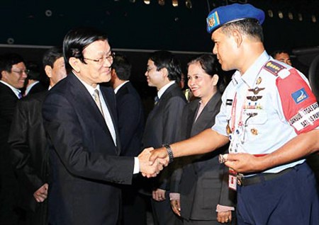 Presidente de Vietnam comienza agenda de trabajo en APEC 21 - ảnh 1