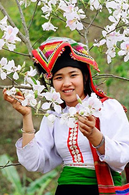 La diversidad cultural y religiosa de la minoría étnica Thai en Vietnam - ảnh 5