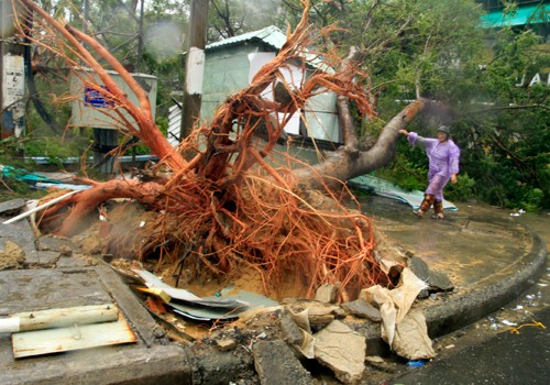 Tormenta Nari  causa graves daños en zonas costeras centrales vietnamitas - ảnh 4