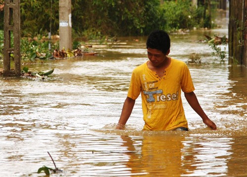 Tormenta Nari  causa graves daños en zonas costeras centrales vietnamitas - ảnh 8