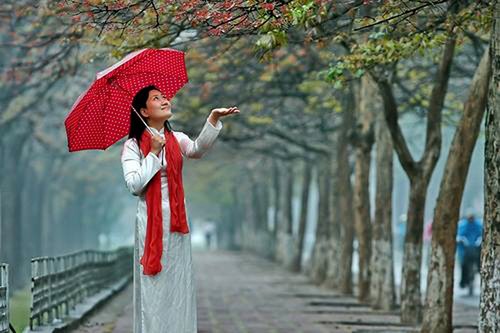 Hanoi en los últimos días del otoño  - ảnh 20