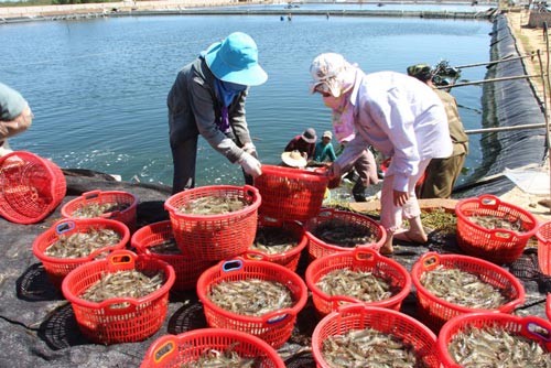 Exportaciones de artículos acuáticos salvan economía vietnamita - ảnh 1