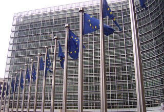 Unión Europea ofrece a palestinos e israelíes ayudas masivas si sellan la paz - ảnh 1