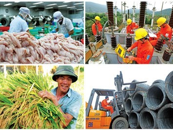 Macroeconomía de Vietnam se estabiliza y encamina a la recuperación en 2013 - ảnh 1