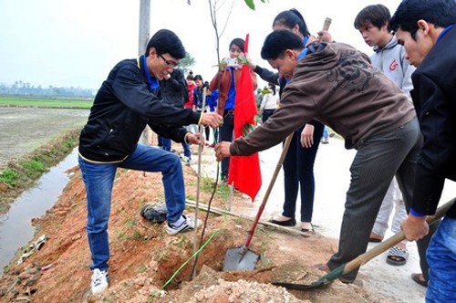 Promueven movimiento de reforestación en Da Nang - ảnh 1