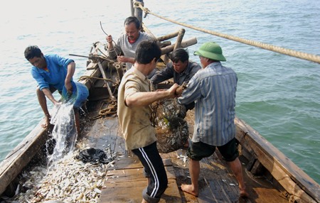Estados Unidos critica nuevas restricciones de China a pesca en aguas en disputa - ảnh 1