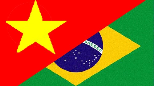 Alcanza los 2 mil millones de dólares intercambio comercial Vietnam-Brasil en 2013 - ảnh 1