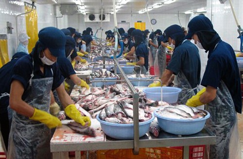 Congreso norteamericano dificulta la venta de pescados sin escamas de Vietnam - ảnh 1