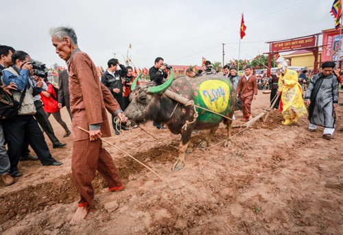 Celebran fiesta milenaria de “tịch điền”, por el inicio de los cultivos del año - ảnh 8