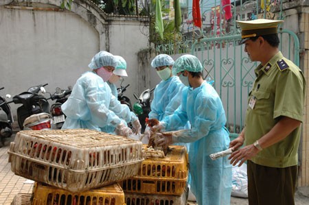 Vietnam dispuesto a responder a enfermedades causadas por gripe A  - ảnh 1