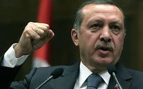 Primer ministro turco promete renunciar si su partido pierde comicios - ảnh 1