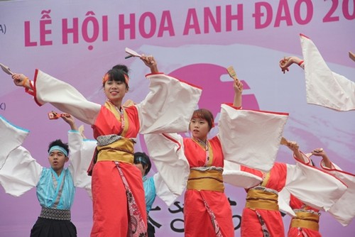 Festival japonés de Flores de Cerezo 2014 atrae público vietnamita - ảnh 1