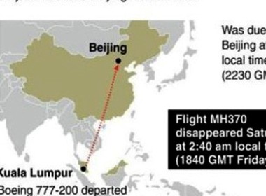 Vietnam y países de la región coordinan en buscar avión malayo desaparecido  - ảnh 1