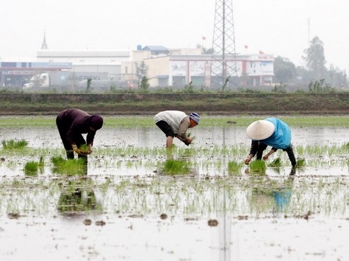 Vietnam aboga por mitigar los efectos del cambio climático - ảnh 1