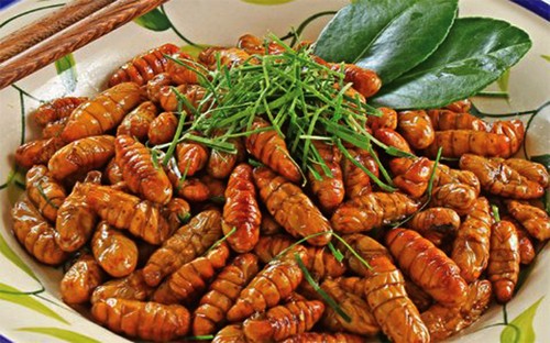 Pueden paladear insectos comestibles en Hanoi?    - ảnh 3