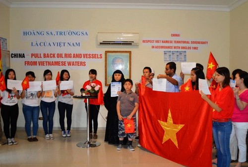 Vietnamitas en Egipto y Suiza se suman a las protestas contra China - ảnh 1