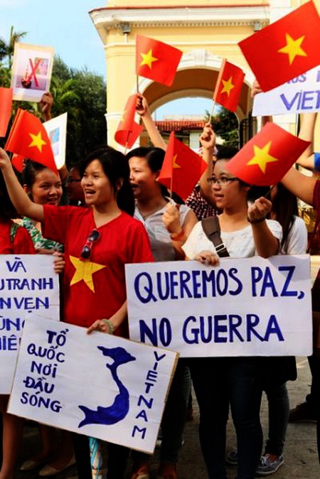 Comunidad vietnamita en el extranjero continúa rechazando la infracción china en Mar Oriental - ảnh 1