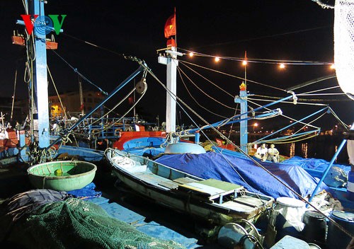 Pescadores vietnamitas mantienen trabajo con valentía en aguas violadas por China - ảnh 1