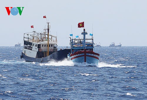 Pescadores vietnamitas mantienen trabajo con valentía en aguas violadas por China - ảnh 11