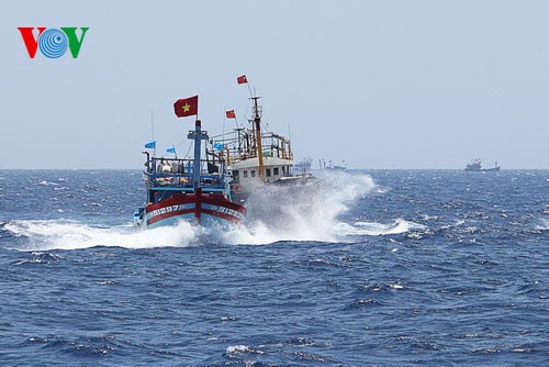 Pescadores vietnamitas mantienen trabajo con valentía en aguas violadas por China - ảnh 12