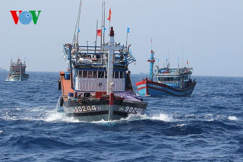 Pescadores vietnamitas mantienen trabajo con valentía en aguas violadas por China - ảnh 17