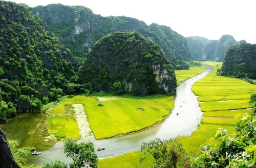 La belleza del conjunto paisajístico de Tràng An - ảnh 12