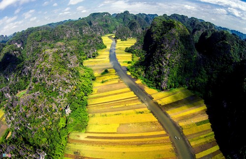 La belleza del conjunto paisajístico de Tràng An - ảnh 9