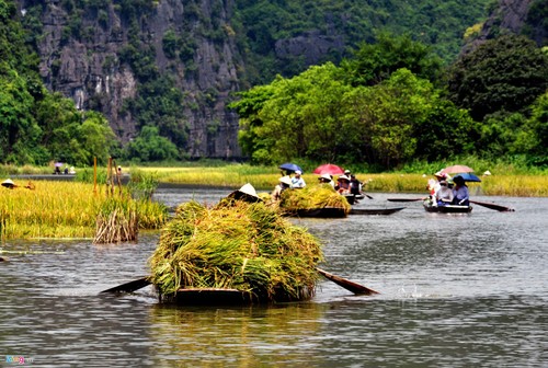 La belleza del conjunto paisajístico de Tràng An - ảnh 13