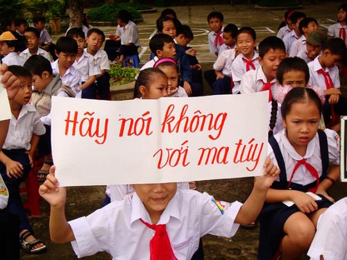 Vietnam refuerza la lucha contra el abuso de drogas y el narcotráfico - ảnh 1