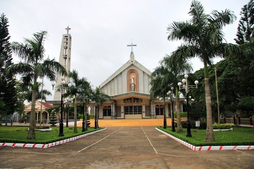 Creyentes católicos de Dong Nai participan activamente en las actividades caritativas y humanitarias - ảnh 1