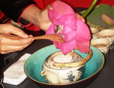 Disfrute de la belleza pura de la flor de loto - ảnh 10