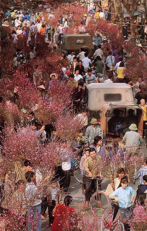 Hanoi en la etapa de recuperación nacional 1985 - 1992 - ảnh 16