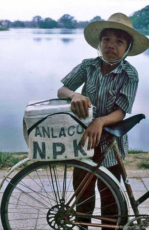 Hanoi en la etapa de recuperación nacional 1985 - 1992 - ảnh 11