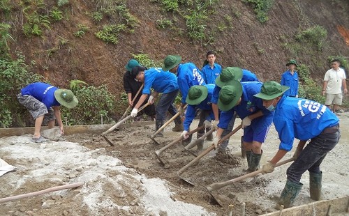  Estudiantes voluntarios de Phu Yen aportan en modernización del campo - ảnh 1
