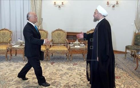 Jefe de AIEA en Irán para avanzar diálogo nuclear - ảnh 1