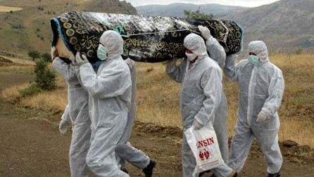 Superan mil 200 casos fatales por virus Ébola  - ảnh 1
