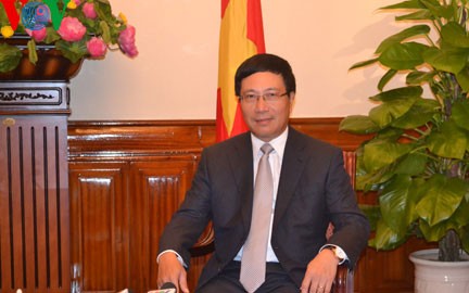 Persiste diplomacia vietnamita en proteger los intereses nacionales - ảnh 1