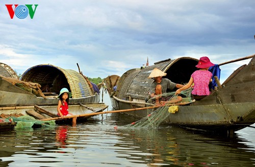 Espacio pacífico del pantano de Quang Loi - ảnh 6