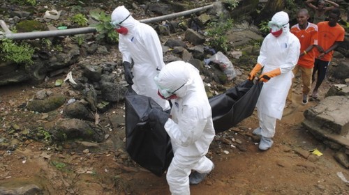 Liberia llama asistencia urgente y directa de Estados Unidos contra ébola - ảnh 1