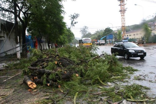 Se concentra Vietnam en superar consecuencias del tifón Kalmaegi - ảnh 1