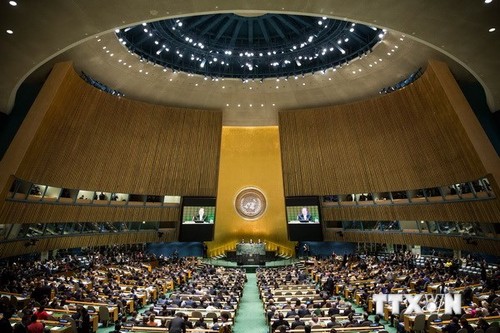 Cumbre de ONU aprueba Declaración Conjunta a favor del clima  - ảnh 1