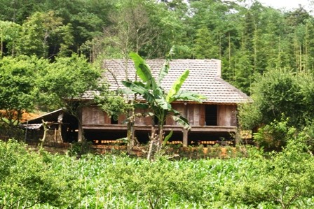 Singulares casas de los Muong Bi - ảnh 2