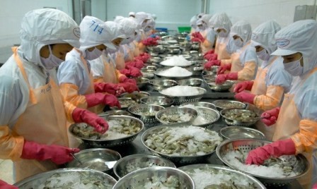 Impugnan arancel antidumping estadounidense al camarón vietnamita    - ảnh 1