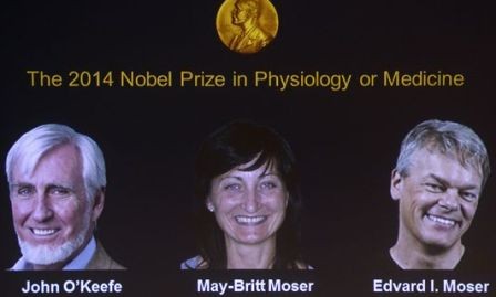 Otorgan Premio Nobel de Medicina a tres neurocientíficos - ảnh 1