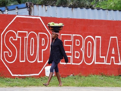 ONU moviliza 50 millones de dólares para enfrentar Ébola - ảnh 1