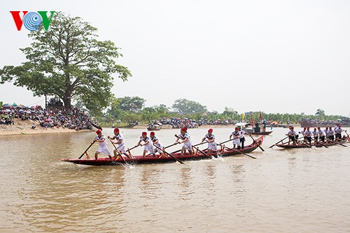 Competencia de embarcaciones de remo en  Nam Dinh  - ảnh 2